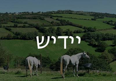 Yiddish